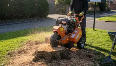 Stump grinding service in Rochdale, MA using professional equipment for tree removal and lawn restoration