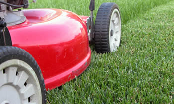 Lawn Care in Worcester MA Lawn Care Services in Worcester MA Quality Lawn Care in Worcester MA