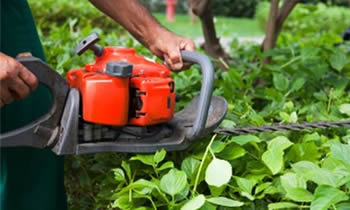 Shrub Removal in Worcester MA Shrub Removal Services in Worcester MA Shrub Care in Worcester MA Landscaping in Worcester MA